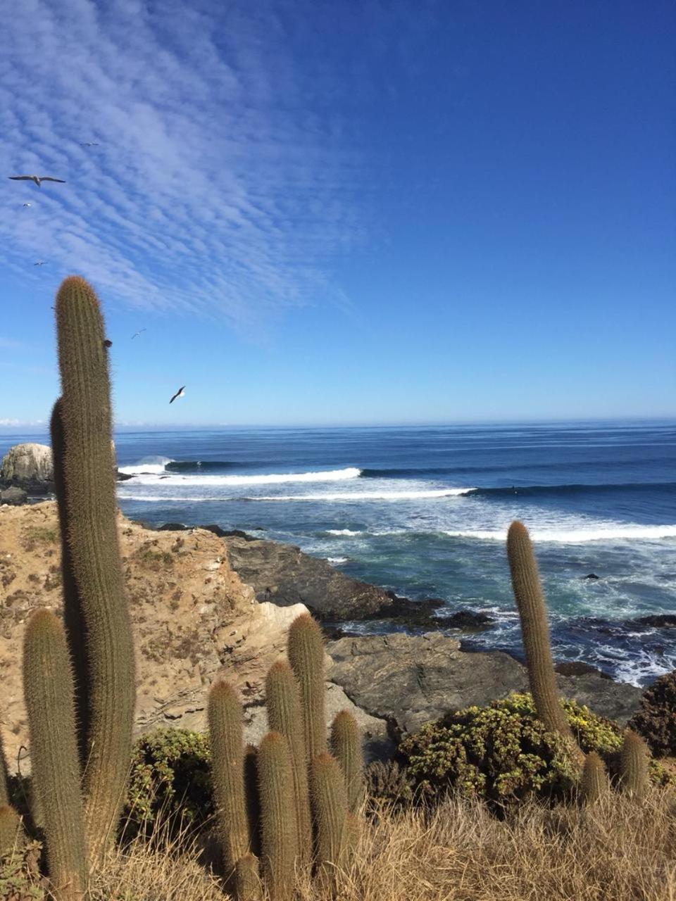 Villa Conviento De Lobos Pichilemu Exterior foto