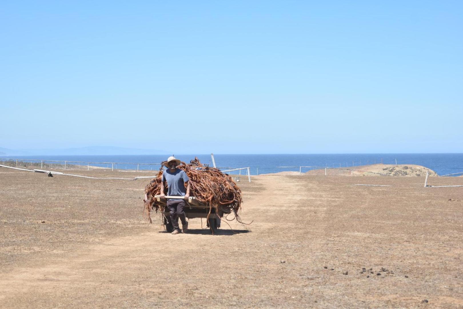 Villa Conviento De Lobos Pichilemu Exterior foto