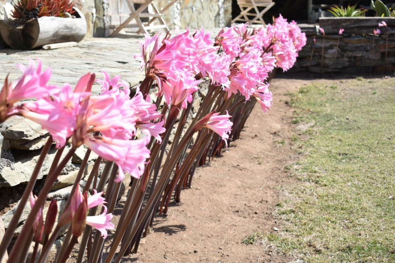 Villa Conviento De Lobos Pichilemu Exterior foto